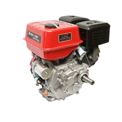 Motore a Scoppio 9 CV, Motore a Benzina 4 Tempi 242cc con Albero Ø 25 mm, Avviamento Elettrico e Avviamento Strappo Breckner Germany - immagine 2