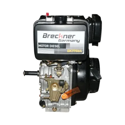 Motore diesel 10CV 186F, 418cc, 3600 giri/min, albero cilindrico filettato 25,4mm, avviamento a strappo - immagine 2