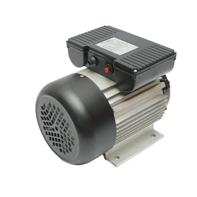 Motore elettrico monofase 0,75 KW, 220V, IP44 - immagine 2