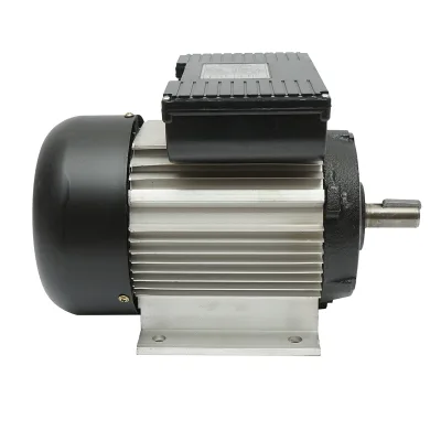 Motore elettrico monofase 0,75 KW, 220V, IP44 - immagine 3