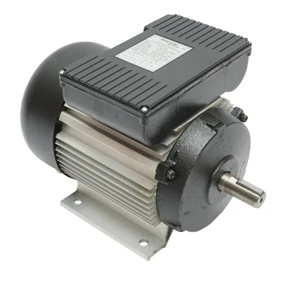 Motore elettrico monofase 0,75 KW, 220V, IP44 - immagine 4