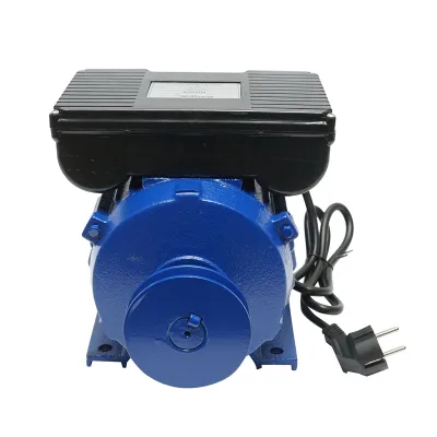 Motore elettrico monofase 1,5KW, 220V con protezione termica, statore 145x80mm Breckner Germany - immagine 3