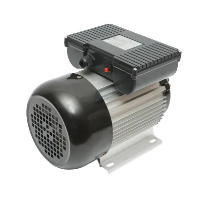 Motore elettrico monofase 2,2 KW, 220V, IP44 - immagine 3