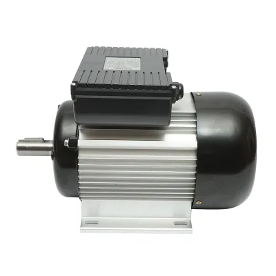 Motore elettrico monofase 2,2 KW, 220V, IP44 - immagine 2