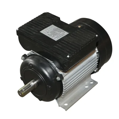 Motore elettrico monofase 2,2KW, 220V, 2800rpm con avvolgimento e alloggiamento in alluminio IP44 Breckner Germany