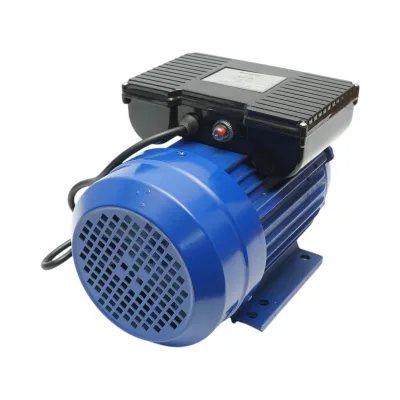 Motore elettrico monofase 3KW, 220V con protezione termica, statore 145x100mm Breckner Germany - immagine 5