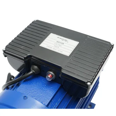Motore elettrico monofase 3KW, 220V con protezione termica, statore 160x110mm Breckner Germany - immagine 5