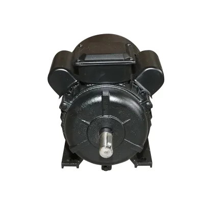 Motore elettrico monofase 3KW, 220V, 2800rpm con avvolgimento e carcassa in alluminio IP44 Breckner Germany - immagine 2