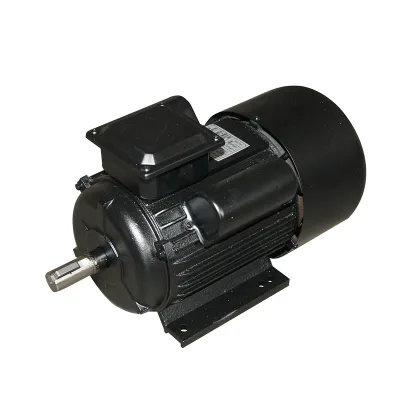 Motore elettrico monofase 3KW, 220V, 2800rpm con avvolgimento e carcassa in alluminio IP44 Breckner Germany