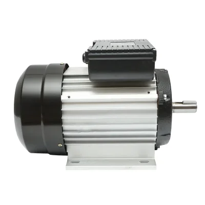 Motore elettrico monofase 3KW, 220V, IP44 - immagine 4