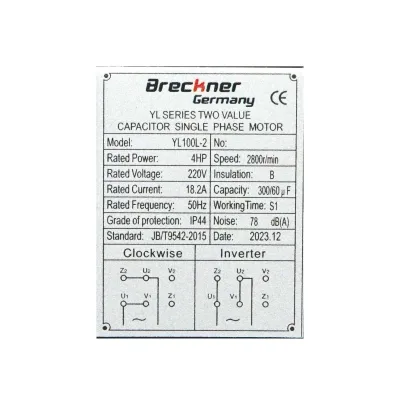 Motore elettrico monofase 3KW, 220V, IP44 - immagine 5