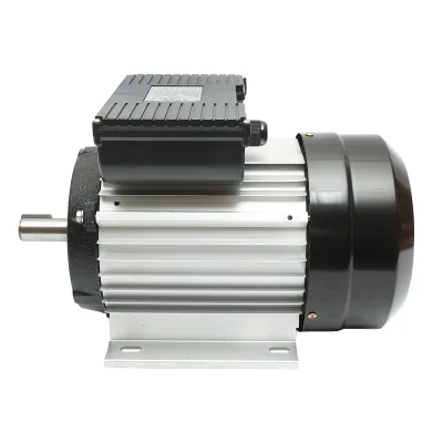 Motore elettrico monofase 3KW, 220V, IP44 - immagine 2