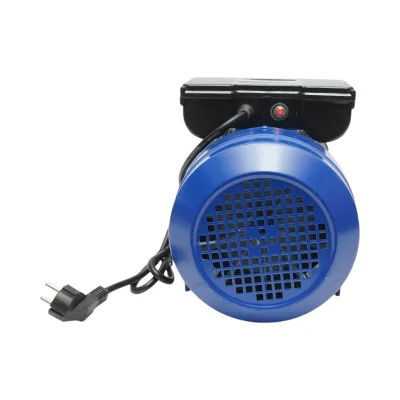 Motore elettrico monofase 4KW, 220V con protezione termica, statore 160x110mm Breckner Germany - immagine 5