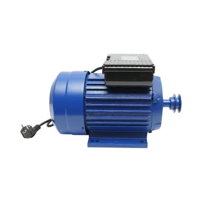 Motore elettrico monofase 4KW, 220V con protezione termica, statore 160x110mm Breckner Germany - immagine 4