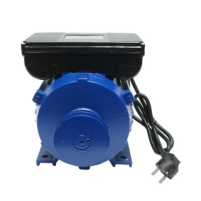 Motore elettrico monofase 4KW, 220V, statore 160x110mm, protezione termica Breckner Germany - immagine 3