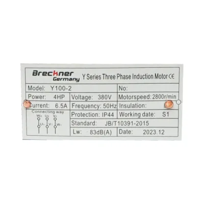 Motore elettrico trifase 3KW, 380V, IP44 - immagine 5