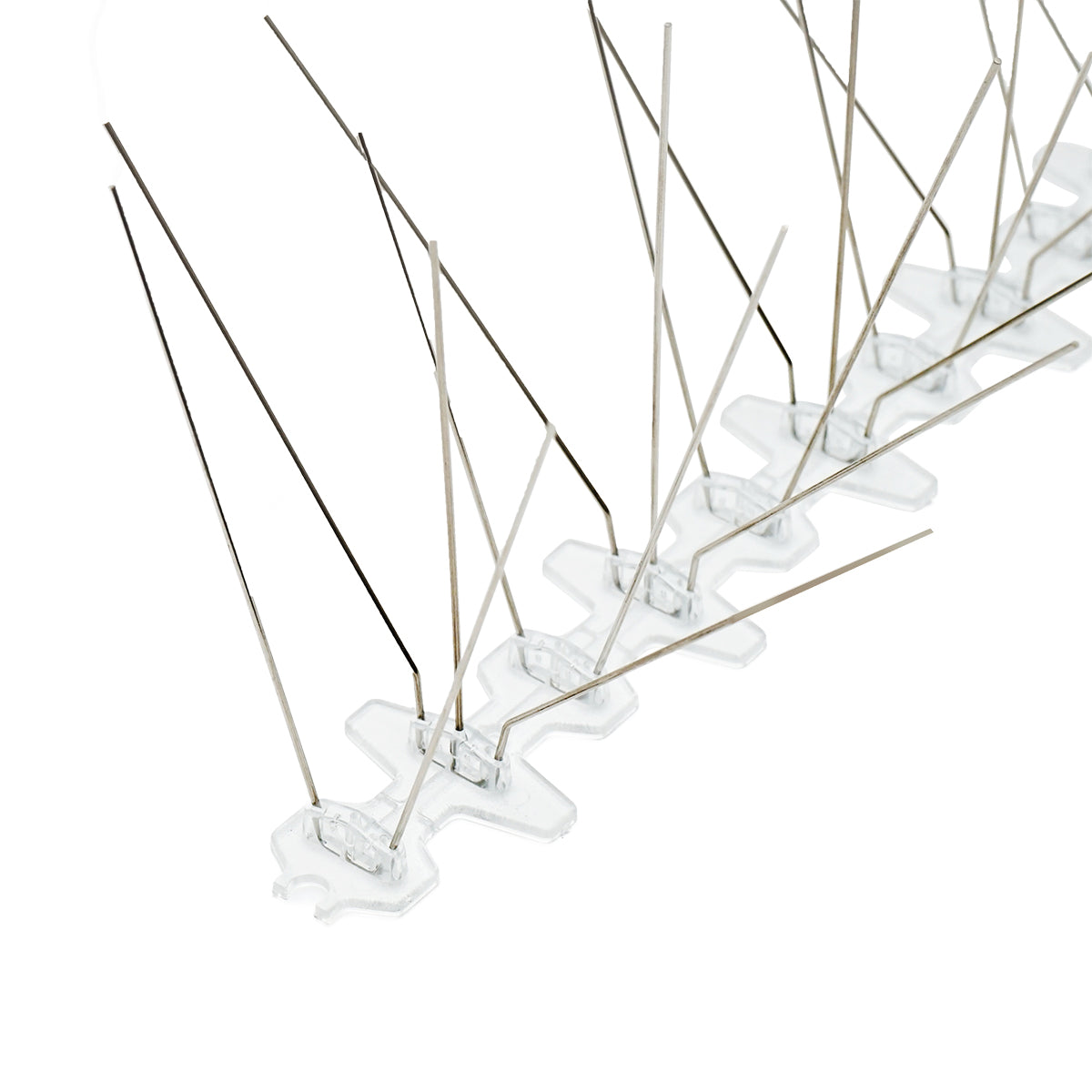 Nastro anti-uccelli 50cmx50 spine, punte - immagine 2
