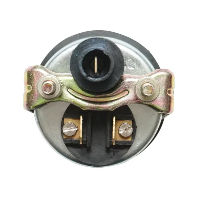 Orologio indicatore di carico Massey Ferguson codice OEM 1672835M2, S.41061, 36047 Breckner Germany - immagine 4