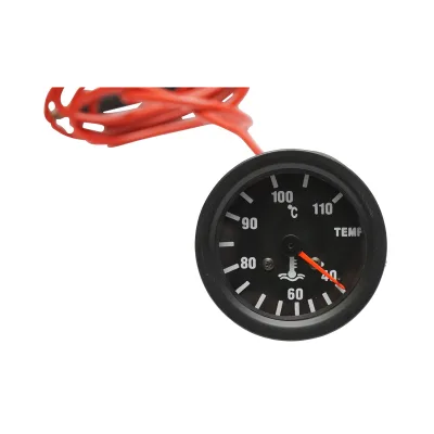 Orologio meccanico con indicatore di temperatura dell'acqua e sonda universale. - immagine 2