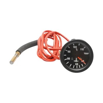 Orologio meccanico con indicatore di temperatura dell'acqua e sonda universale.