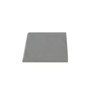 Pallet in grafite per pompa a vuoto per mungitura mucche 70x42,6x4,85mm Breckner Germany - immagine 2
