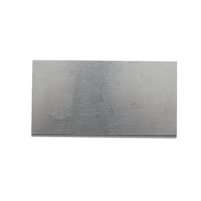 Pallet in grafite per pompa a vuoto per mungitura mucche 80x43x4,90mm Breckner Germany - immagine 3