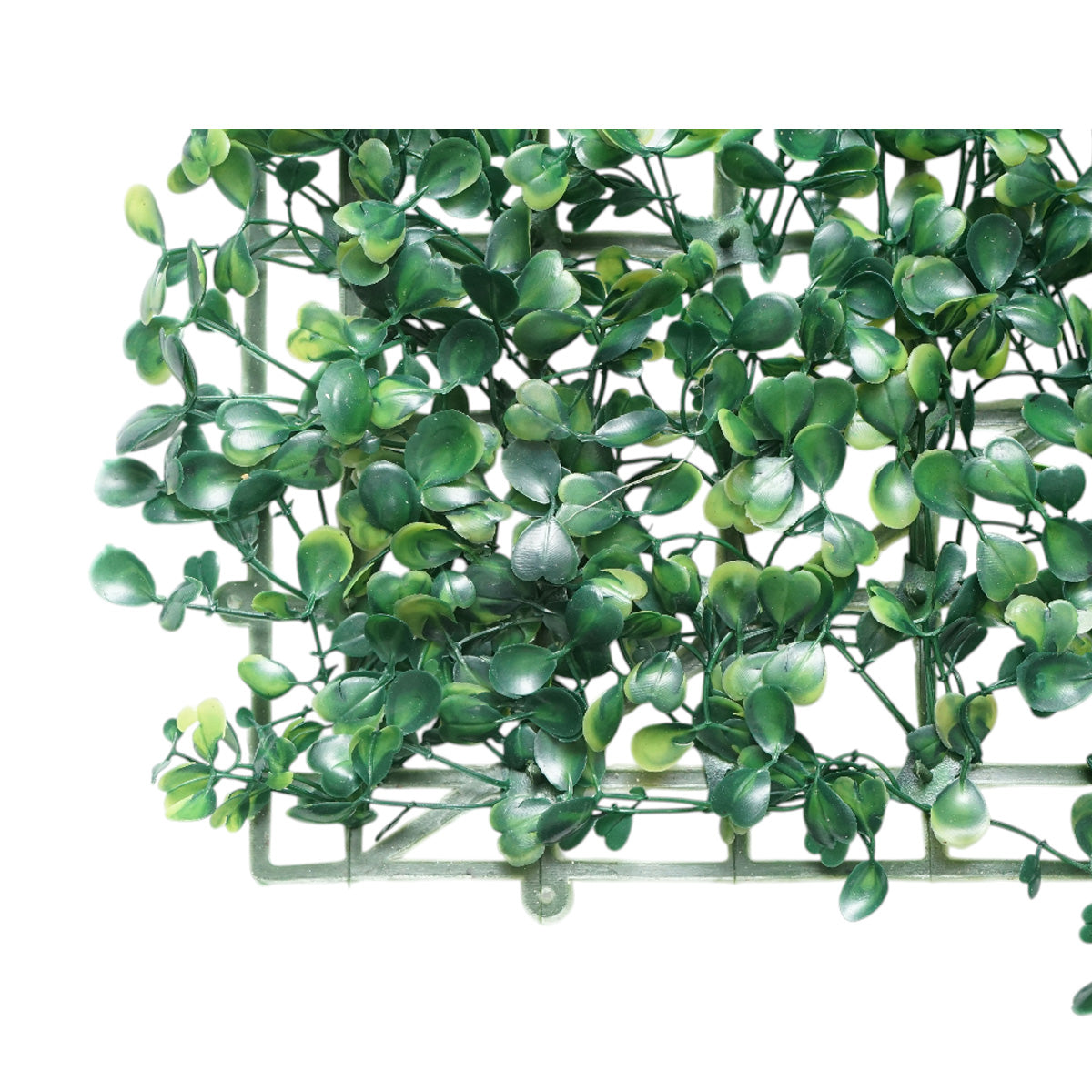 Pannello siepe artificiale verde decorativa con foglie piccole 40x60x3 cm - immagine 6