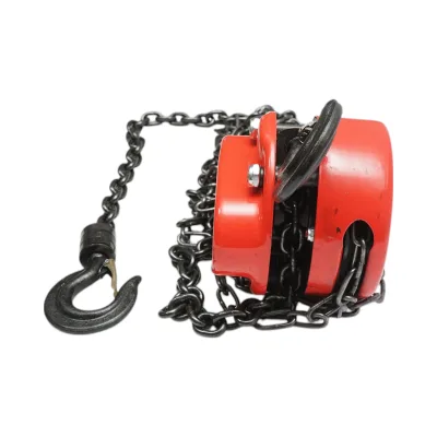Paranco manuale a catena da 2,5 m, carico massimo 1000 kg, gancio di sicurezza Breckner Germany - immagine 5