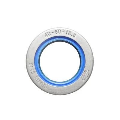 Paraolio gruppo planetario anteriore, dimensioni 40 x 60 x 18,5 mm, per trattori John Deere, Case IH e Deutz-Fahr, codice OEM 04341193