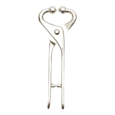 Pinza nasale per bestiame per controllo del bestiame Pinza per naso di bovini Pinze nasali per bovini