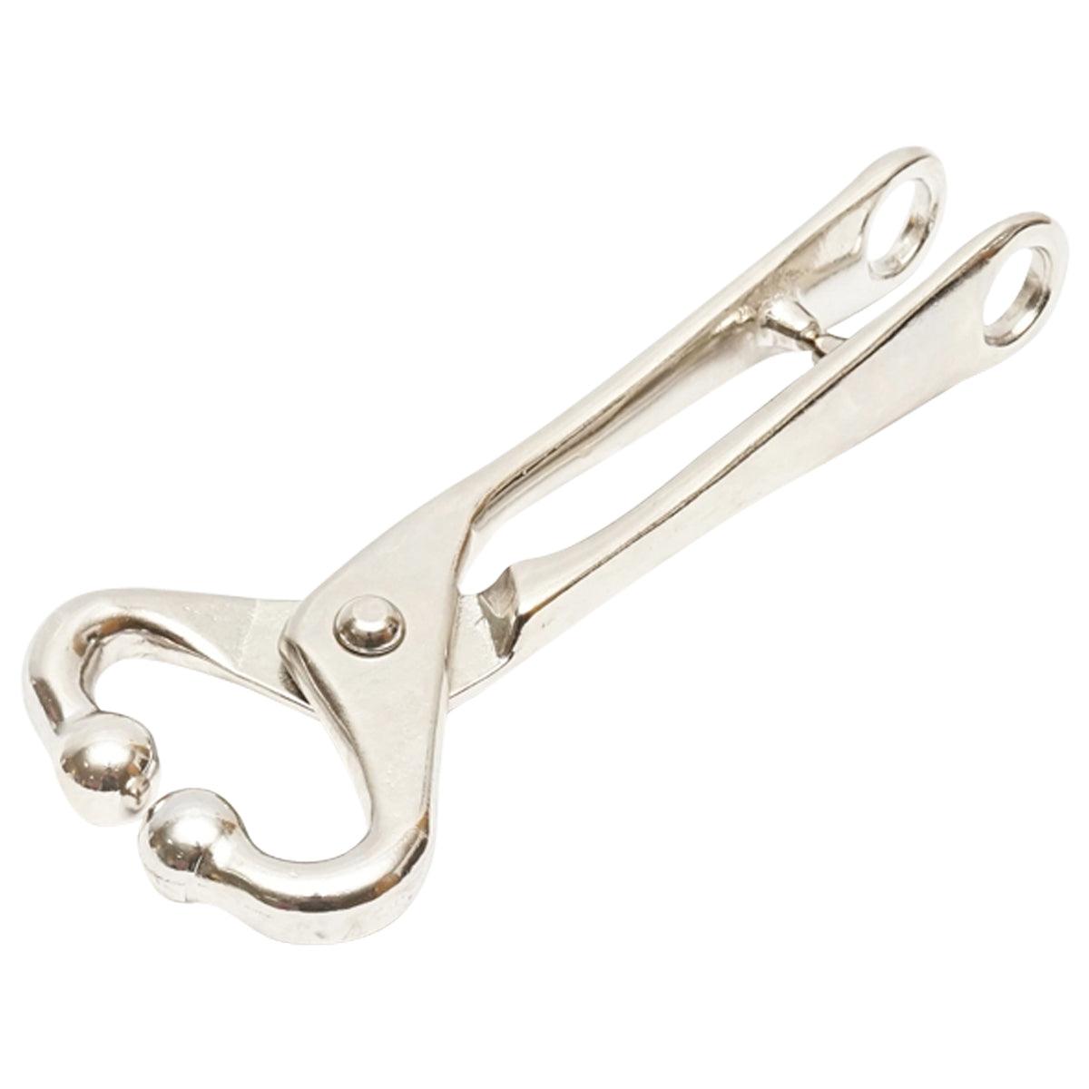 Pinza nasale per bestiame per controllo del bestiame Pinza per naso di bovini Pinze nasali per bovini - immagine 2
