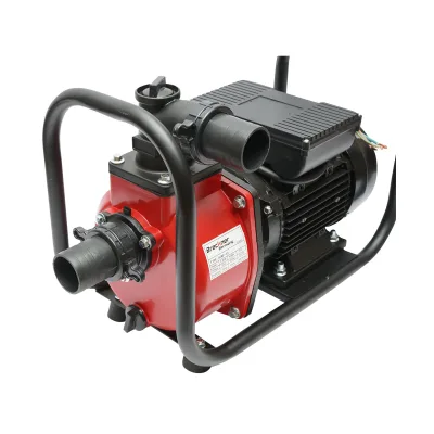 Pompa acqua 220V, 2.2KW, 23m3/h, 2 pollici altezza massima 17m Pompa di superficie per Acque Pulite - immagine 5