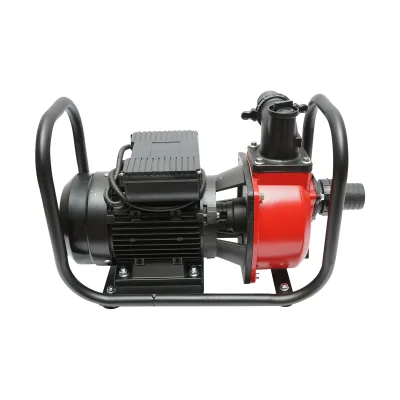 Pompa acqua 220V, 2.2KW, 23m3/h, 2 pollici altezza massima 17m Pompa di superficie per Acque Pulite - immagine 3