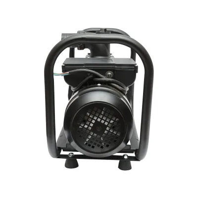 Pompa acqua 220V, 2.2KW, 23m3/h, 2 pollici altezza massima 17m Pompa di superficie per Acque Pulite - immagine 2