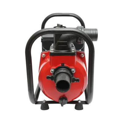 Pompa acqua 220V, 2.2KW, 23m3/h, 2 pollici altezza massima 17m Pompa di superficie per Acque Pulite - immagine 4