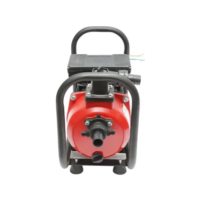 Pompa Acqua Autoadescante Elettropompa Periferica, 1,1 kW, 6 m³/h, 15 m Altezza Massima, 220 V, Ingresso/Uscita 1" (25 mm) - immagine 4