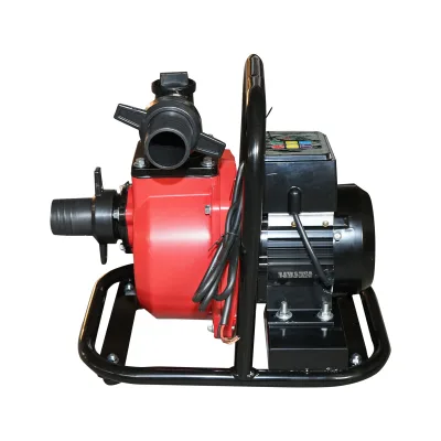 Pompa d'acqua di superficie per scarico, 72V, 750W, portata 20 m³/h, attacco 2 pollici, per pannelli solari, con telecomando