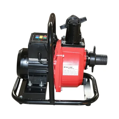 Pompa d'acqua di superficie per scarico, 72V, 750W, portata 20 m³/h, attacco 2 pollici, per pannelli solari, con telecomando - immagine 2