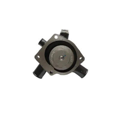 Pompa dell'acqua per Massey Ferguson, Landini, Perkins OEM 41312574, 3637372M91, 3641250M91, 41312965, 41312978, 41313458, 41317006, 747597M91, U5MW0010, U5MW0055, U5MW0061, U5MW0089 - immagine 2