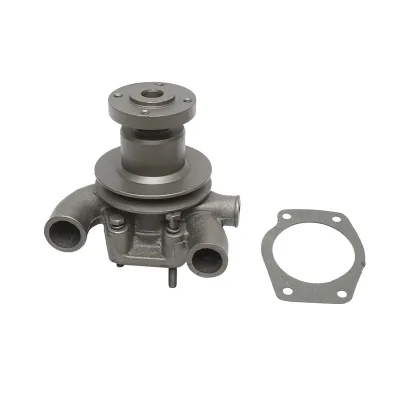 Pompa dell'acqua per Massey Ferguson, Perkins OEM 41312494, 41312784, 41312055, 41312154 TNS