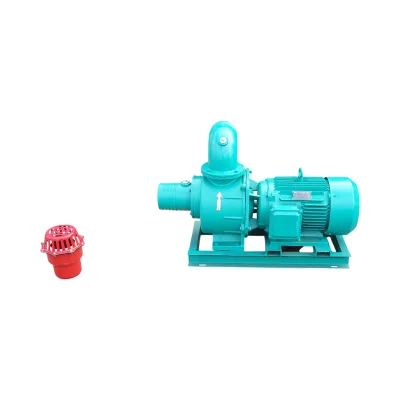 Pompa elettrica centrifuga per irrigazione, 18,5 kW, 380 V, 6 pollici, portata 310 m³/h, profondità di aspirazione 9 m, altezza di pompaggio 35 m Breckner Germany - immagine 2