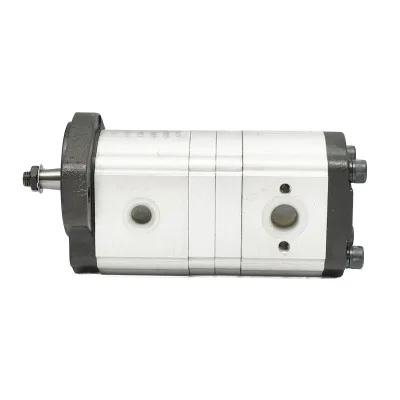 Pompa idraulica doppia Massey Ferguson OEM 3611854M91 - immagine 2