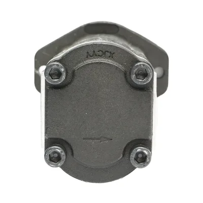 Pompa idraulica doppia Massey Ferguson OEM 3611854M91 - immagine 4