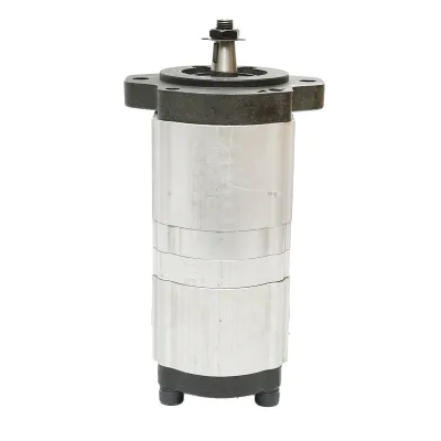 Pompa idraulica doppia Massey Ferguson OEM 3611854M91 - immagine 5