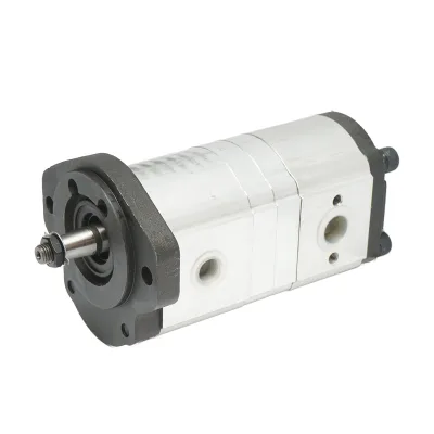 Pompa idraulica doppia Massey Ferguson OEM 3611854M91