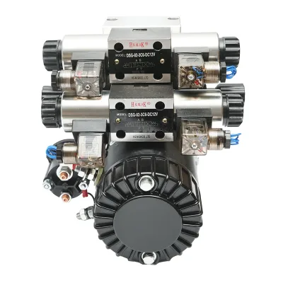 Pompa idraulica ribaltabile per spazzaneve 12V, 1,6Kw, 20Bar - immagine 2