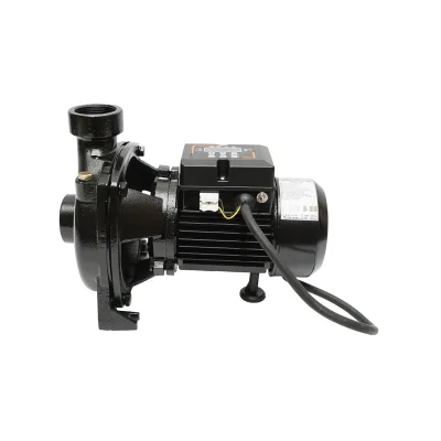 Pompa per il reflusso dell'acqua di superficie 550W, 48V, portata 17 m3/h con controller MPPT per pannello solare fotovoltaico Breckner Germany