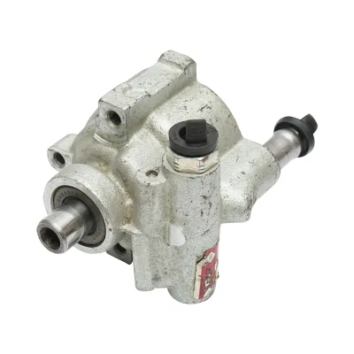 Pompa servosterzo per Dacia Logan 1.4-1.6 codice OEM 491108694R