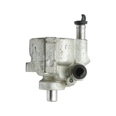 Pompa servosterzo per Dacia Logan 1.4-1.6 codice OEM 491108694R - immagine 3