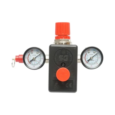 Pressostato per compressore d’aria 220V, con regolatore e 2 manometri fino a 12 bar. - immagine 2